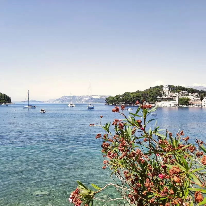 Cavtat Harbour