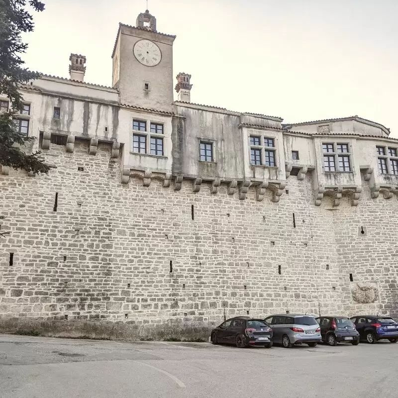 Pazin Castle