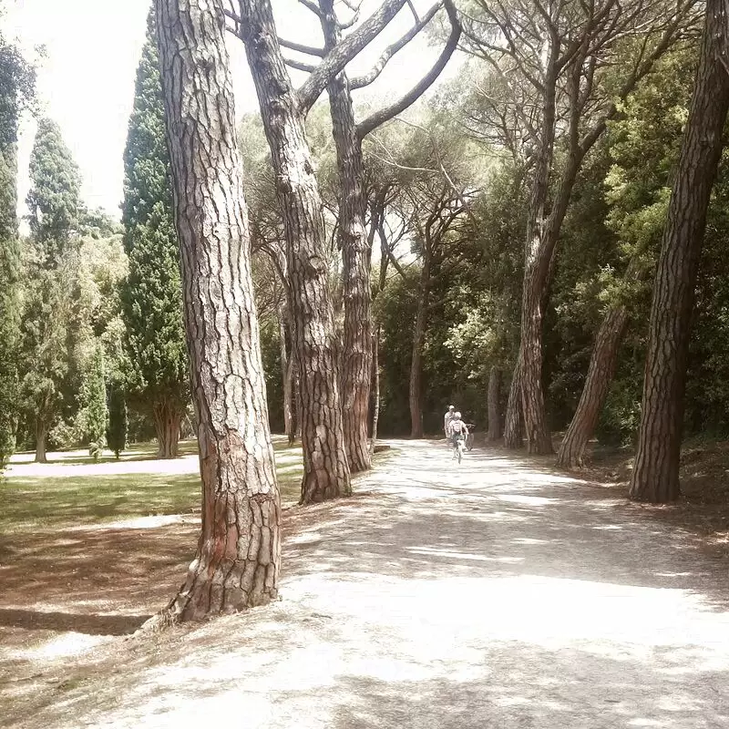 Park forest Zlatni Rt