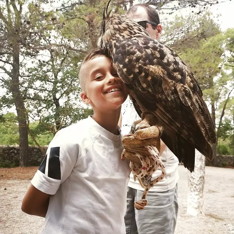 Falconry center