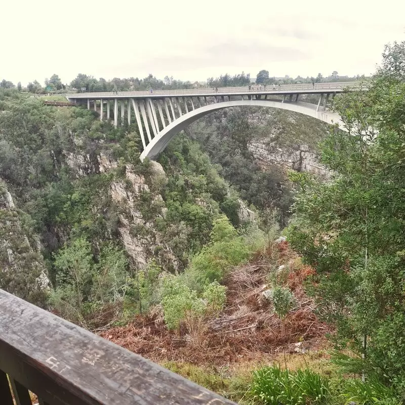 Storms River bridge