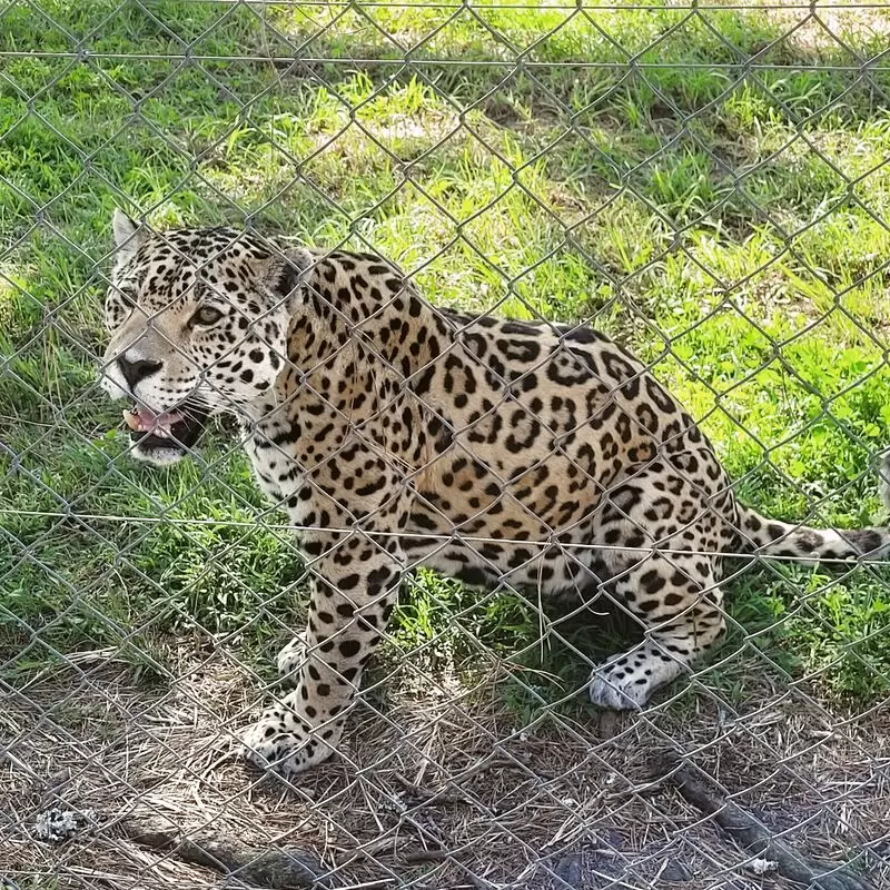 Jukani Wildlife Sanctuary