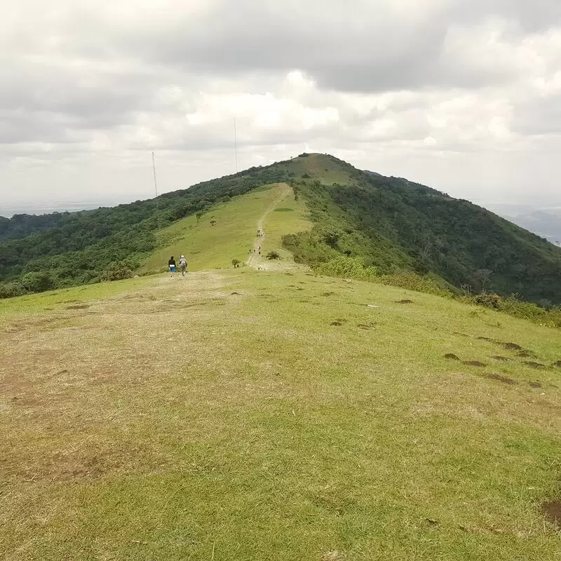 Ngong Hills Forest Reserve