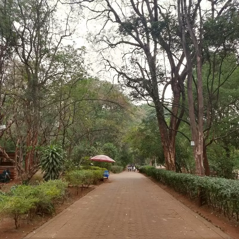 The Nairobi Arboretum