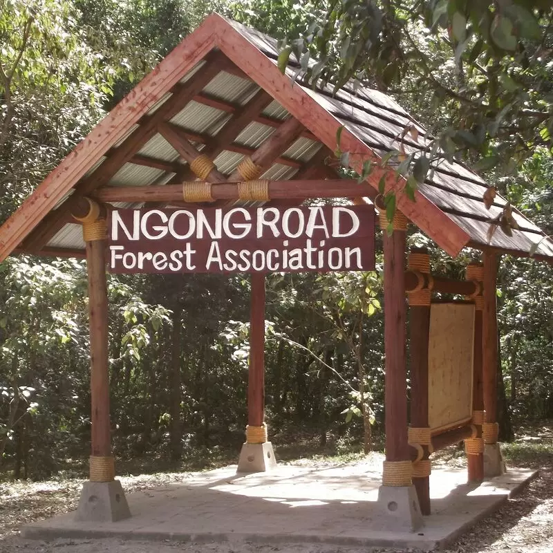 Ngong Road Forest Sanctuary