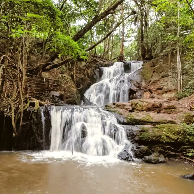 Sigiria Karura Forest