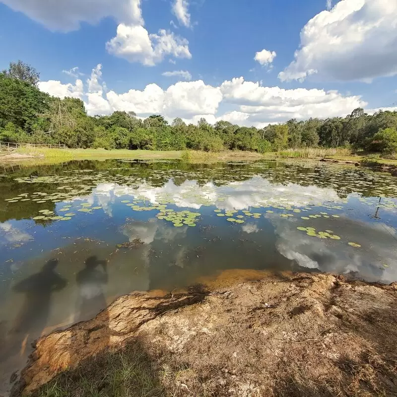 Karura Forest