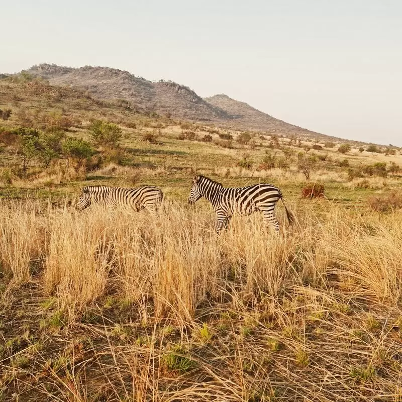 Pilanesberg National Park