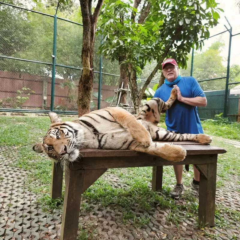 Tiger Kingdom Phuket