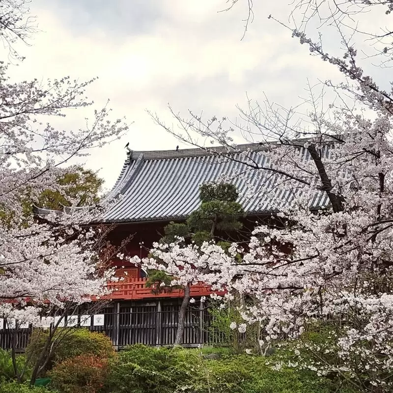 Ueno Park