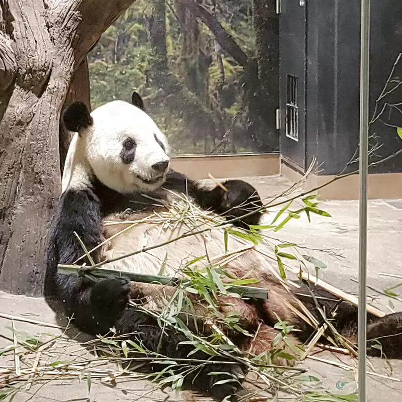 Ueno Zoo