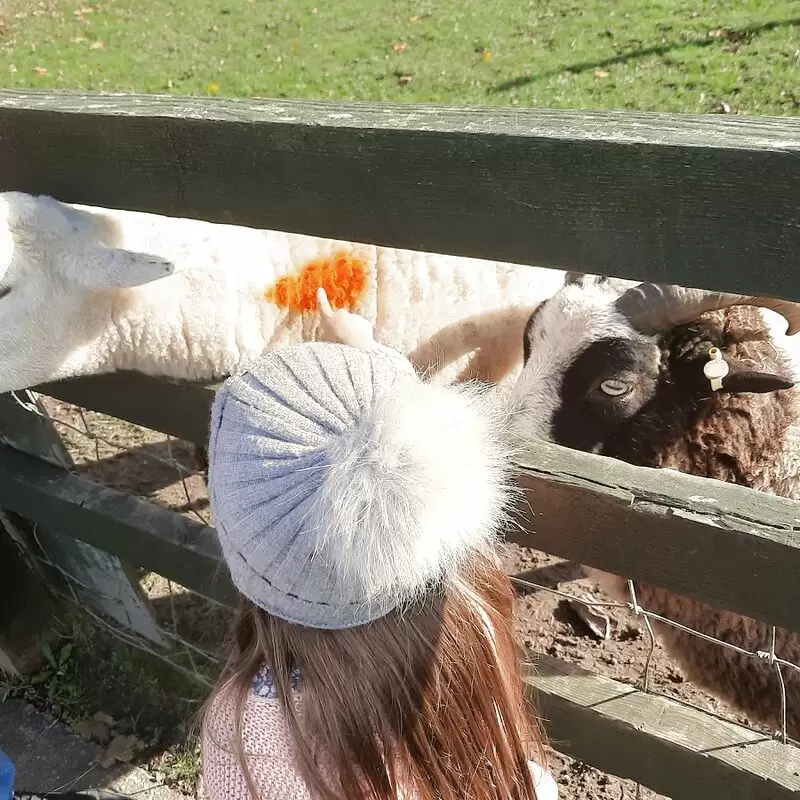 Stonebridge City Farm