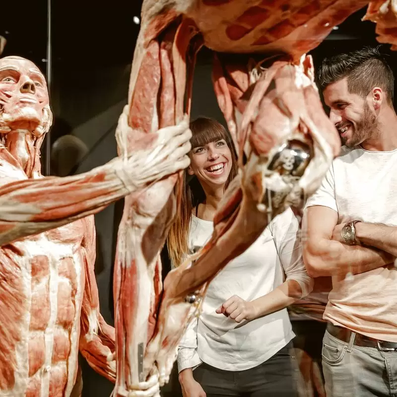 BODY WORLDS Amsterdam