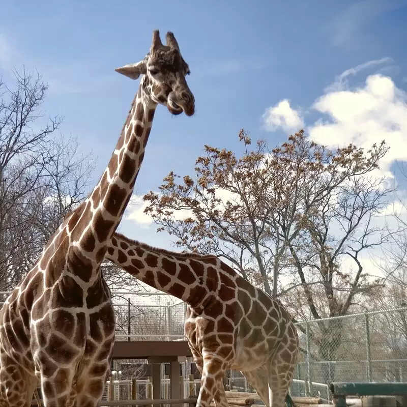 Denver Zoo