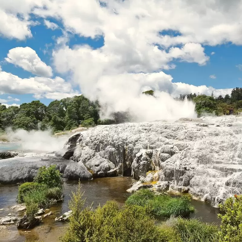 Te Puia Rotorua NZ