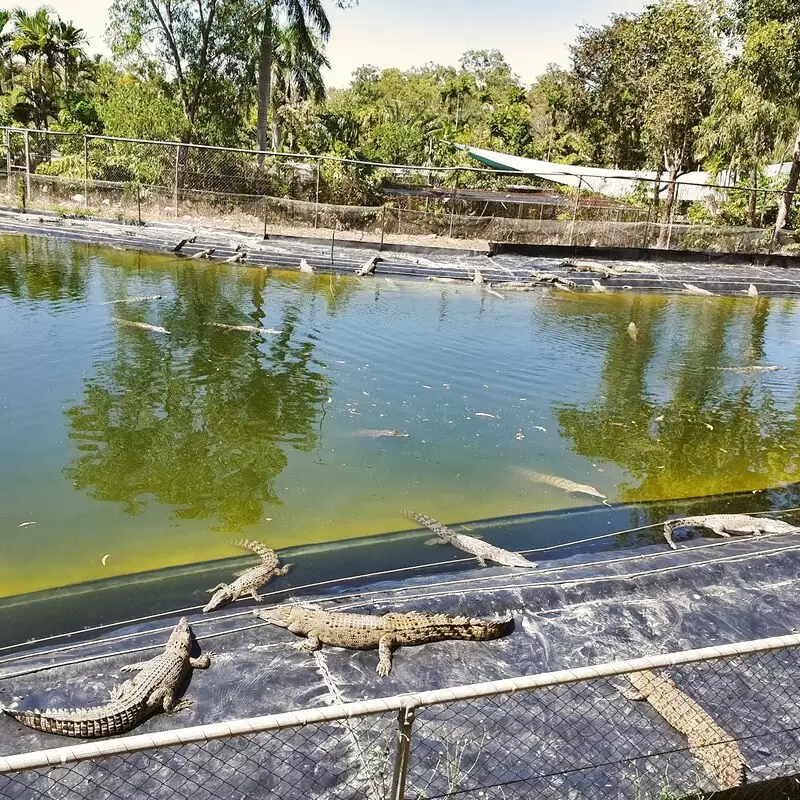 Crocodylus Park