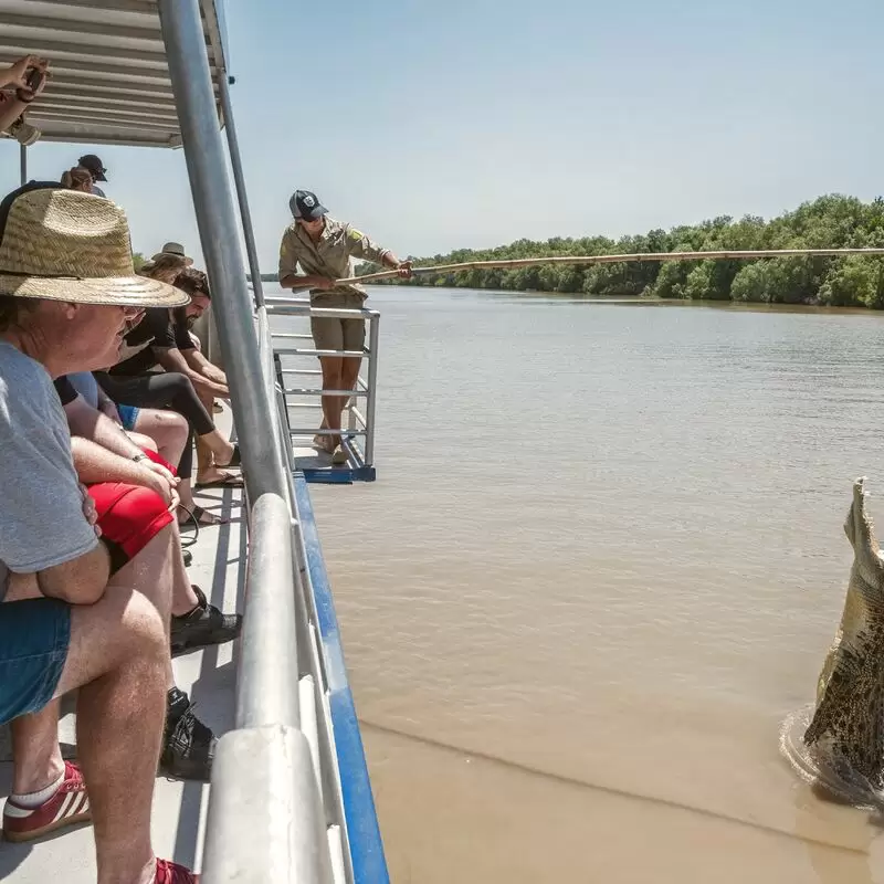 Spectacular Jumping Crocodile Cruise