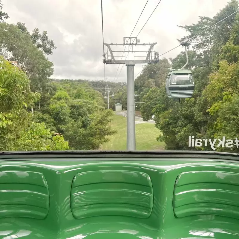 Skyrail Rainforest Cableway