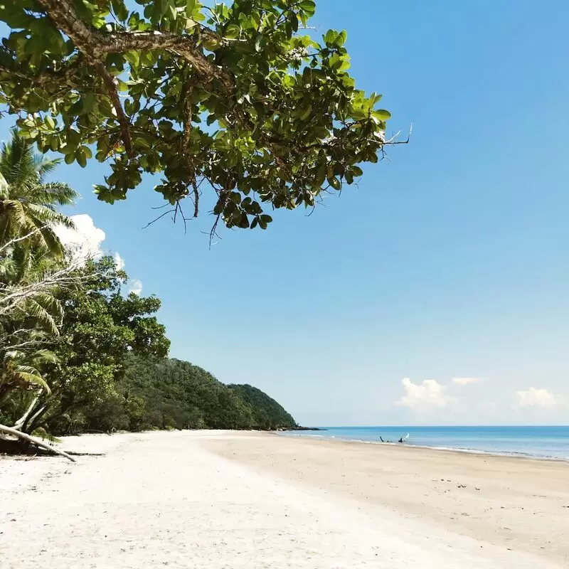 Cow Bay Beach