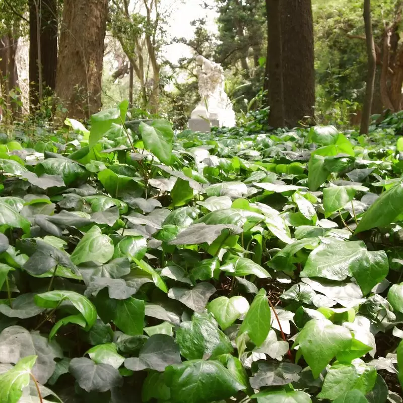 Jardín Botánico Carlos Thays