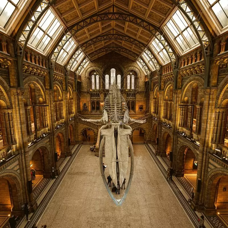 Natural History Museum