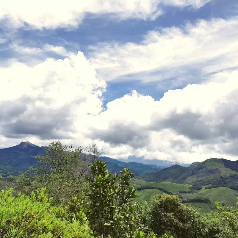 Eravikulam National Park