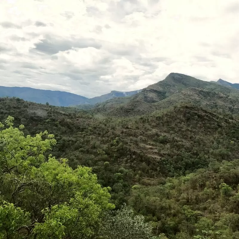 Chinnar Wildlife Sanctuary