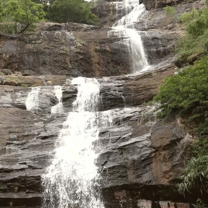 Cheeyappara Waterfalls