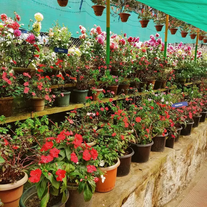 KFDC Floriculture Centre