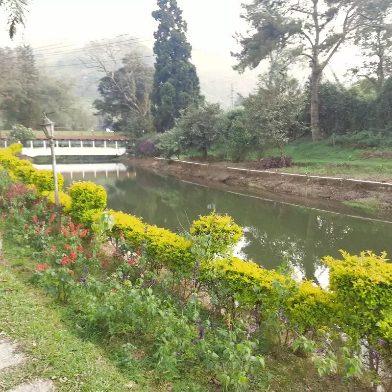 The Blossom Hydel Park