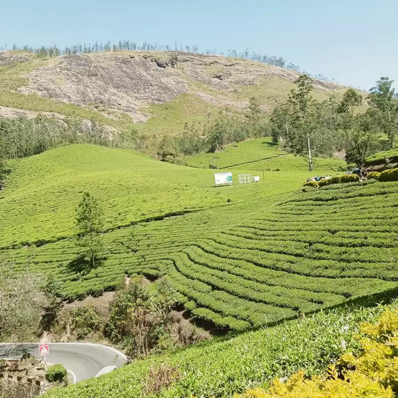 Munnar Tourist Places