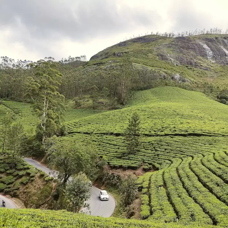 Munnar Hill Station