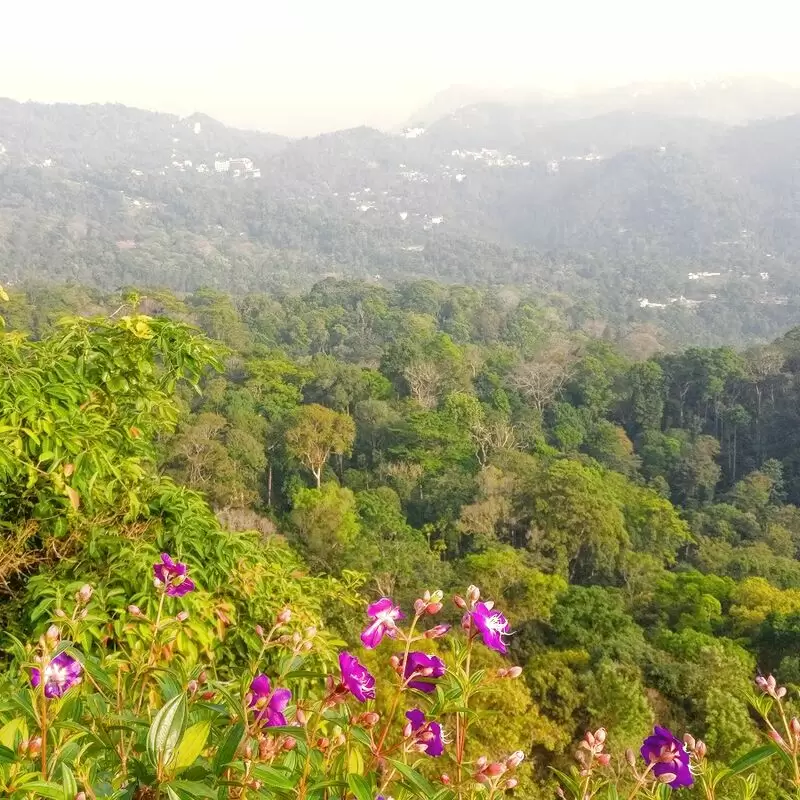 Karadipara View Point