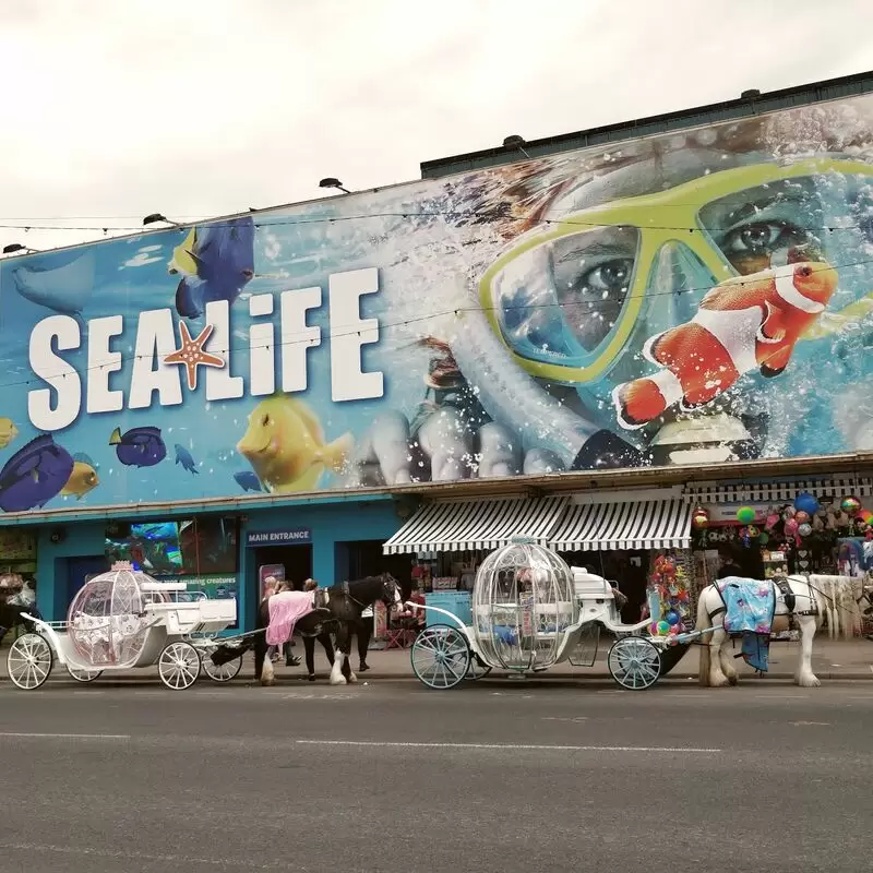 SEA LIFE Blackpool