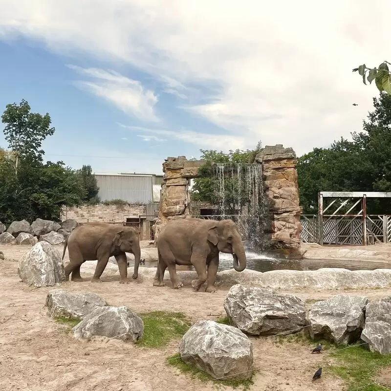 Chester Zoo