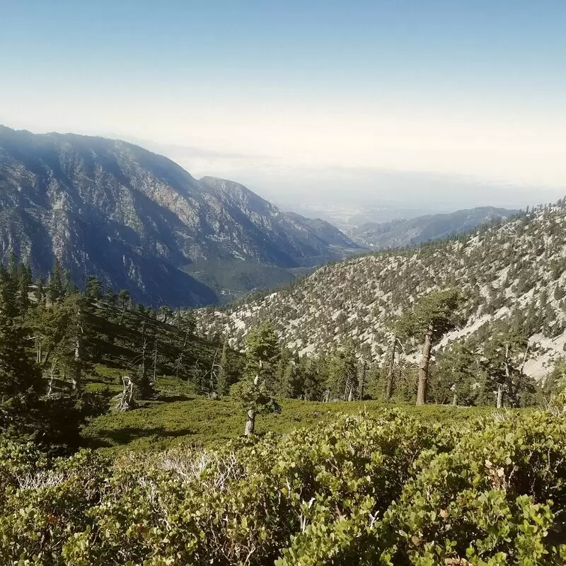 Angeles National Forest