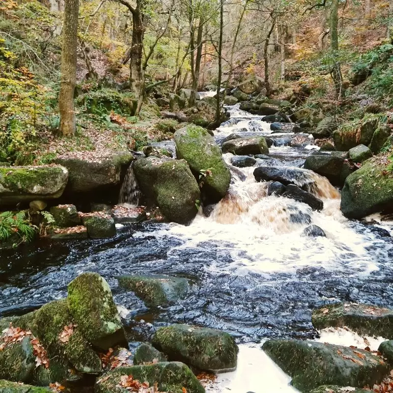 Padley Gorge