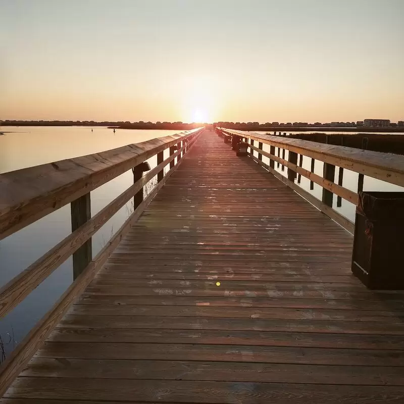 The Murrells Inlet Marsh Walk