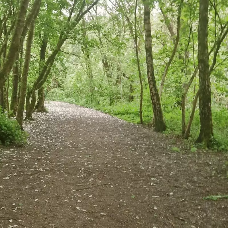 Alkrington Woods Nature Reserve