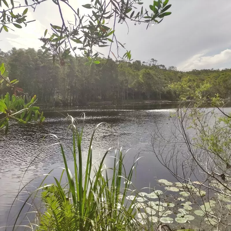 Tyagarah Nature Reserve