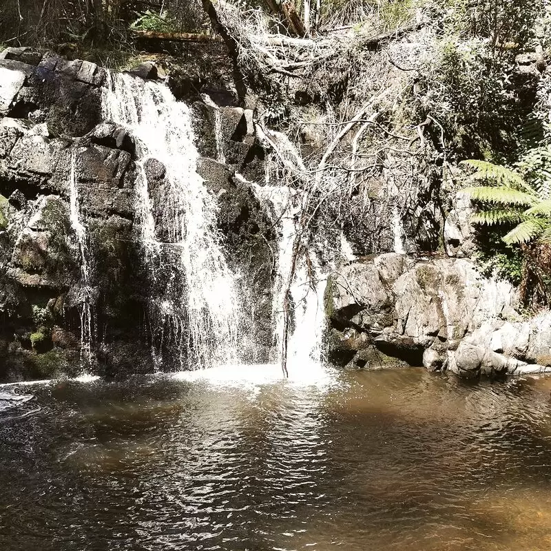 Lilydale Falls