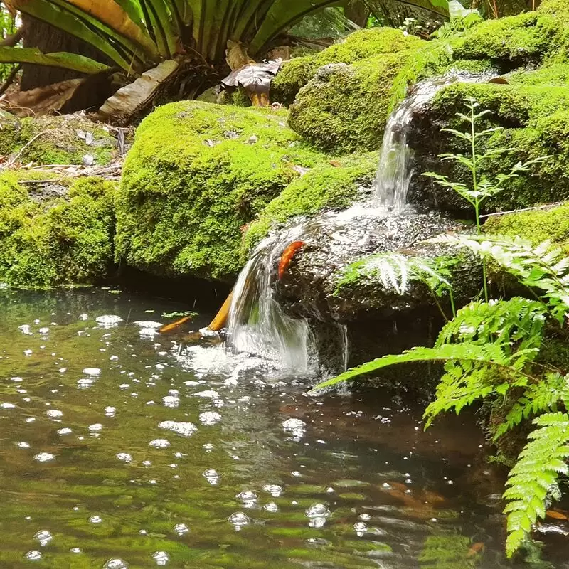 Friends of Geelong Botanic Gardens