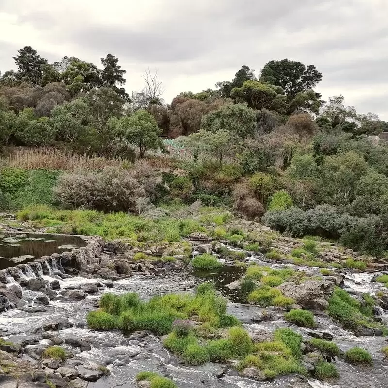 Buckley Falls Lookout