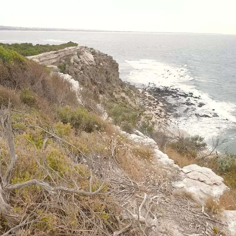 Barwon Heads Bluff