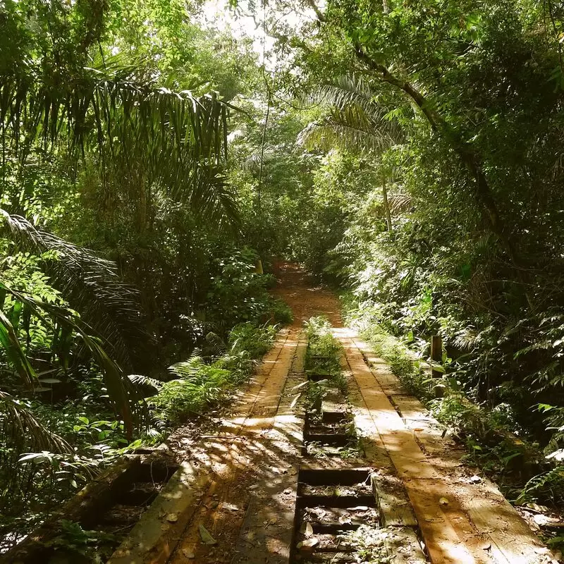 Parque Nacional Soberanía