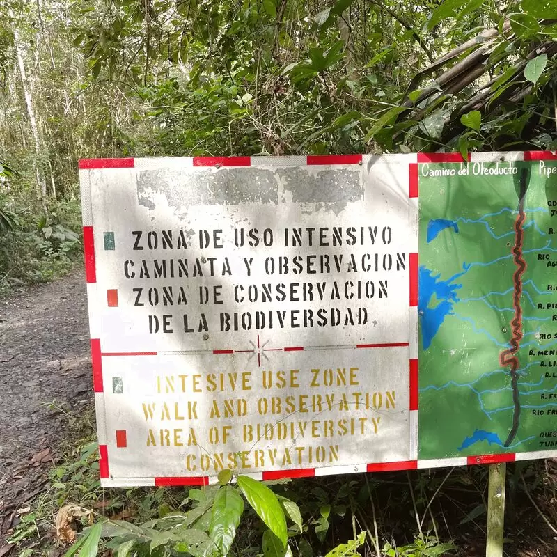 Panama Rainforest Discovery Center