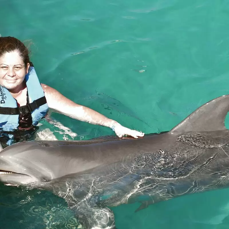 Dolphin Discovery Isla Mujeres