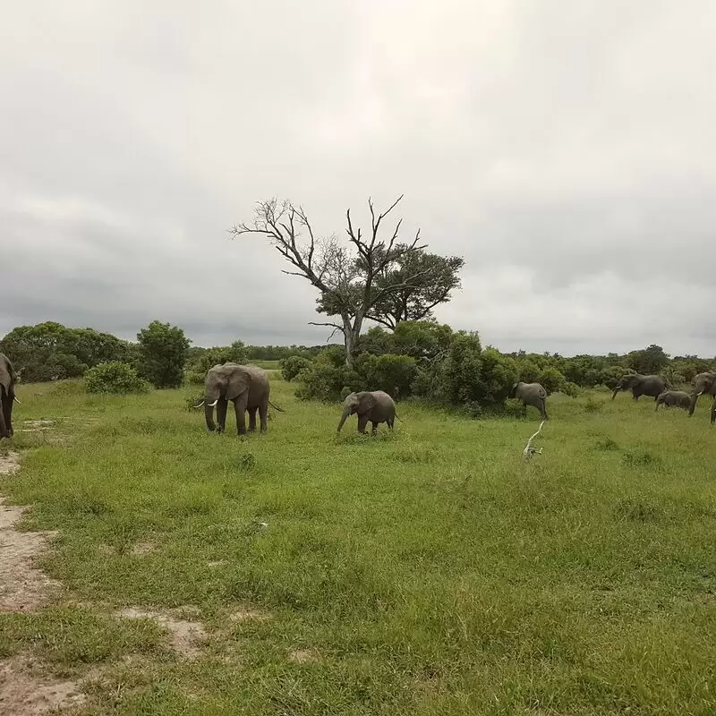 Manyeleti Game Reserve