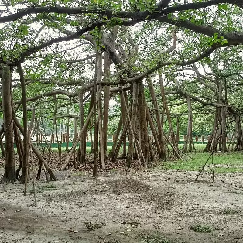 Acharya Jagadish Chandra Bose Indian Botanic Garden