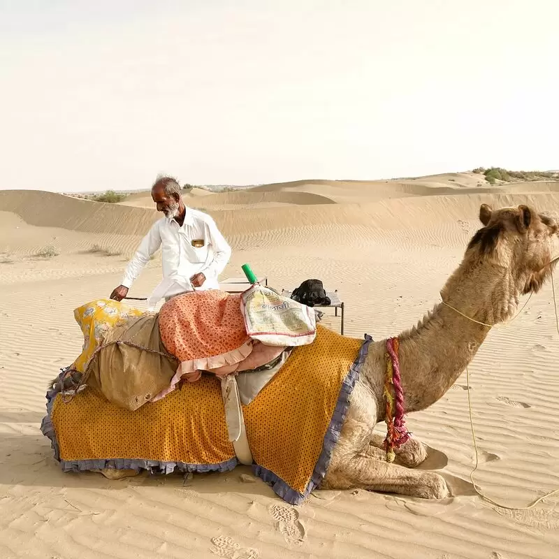 Real Desert Man Camel Safari Jaisalmer